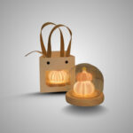 DIY Shell & Sea Urchin Night Light – Bedroom Decor