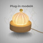 DIY Shell & Sea Urchin Night Light – Bedroom Decor